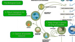 The Biological Cycle
1. Keep things in service
as long as possible
2. Capture all possible
resource
3. Return biological into
the environment
 