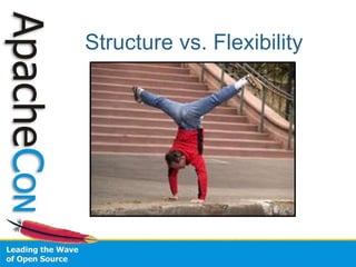 Structure vs. Flexibility 