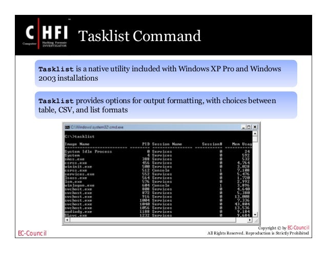 how to find the ie typed urls in prodiscover basic