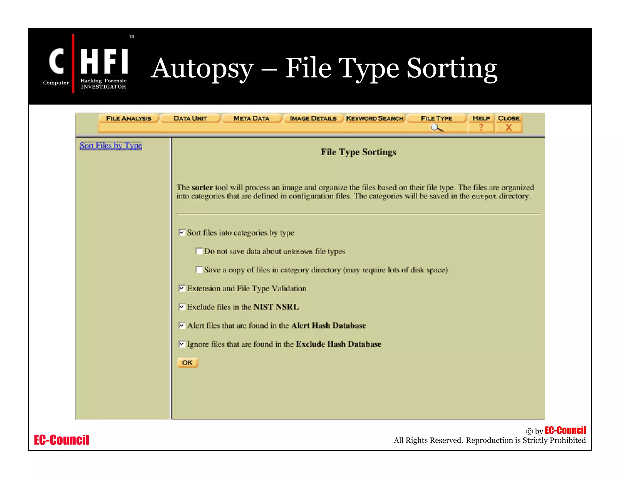 EC-Council
Copyright © by EC-Council
All Rights Reserved. Reproduction is Strictly Prohibited
Autopsy – File Type Sorting
 