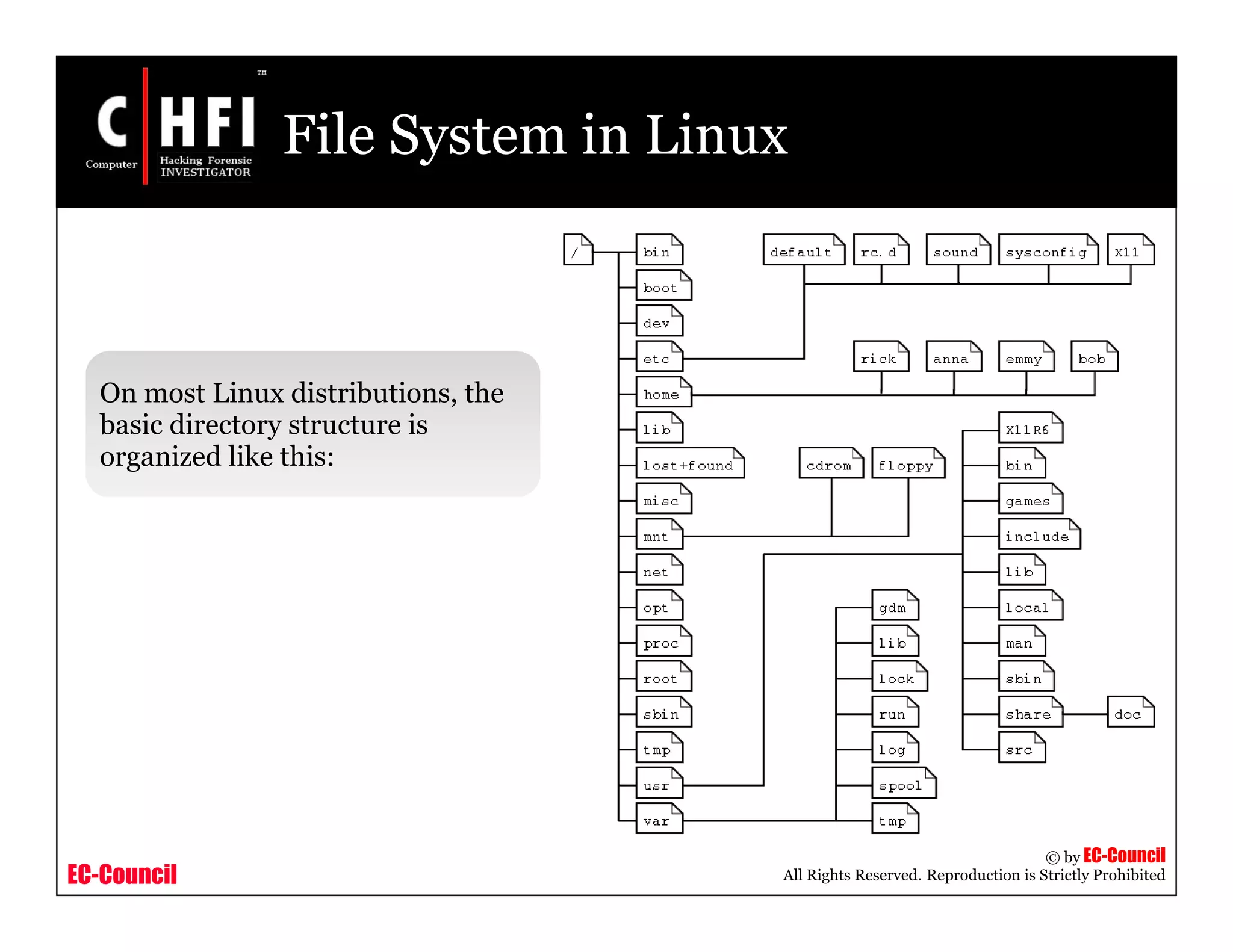 EC-Council
Copyright © by EC-Council
All Rights Reserved. Reproduction is Strictly Prohibited
File System in Linux
On most Linux distributions, the
basic directory structure is
organized like this:
 