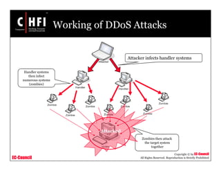 EC-Council
Copyright © by EC-Council
All Rights Reserved. Reproduction is Strictly Prohibited
Working of DDoS Attacks
Attacker infects handler systems
Handler systems
then infect
numerous systems
(zombies)
Zombies then attack
the target system
together
Attacked
 