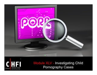 Module XLV - Investigating Child
Pornography Cases
 