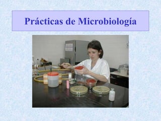 Prácticas de Microbiología
 