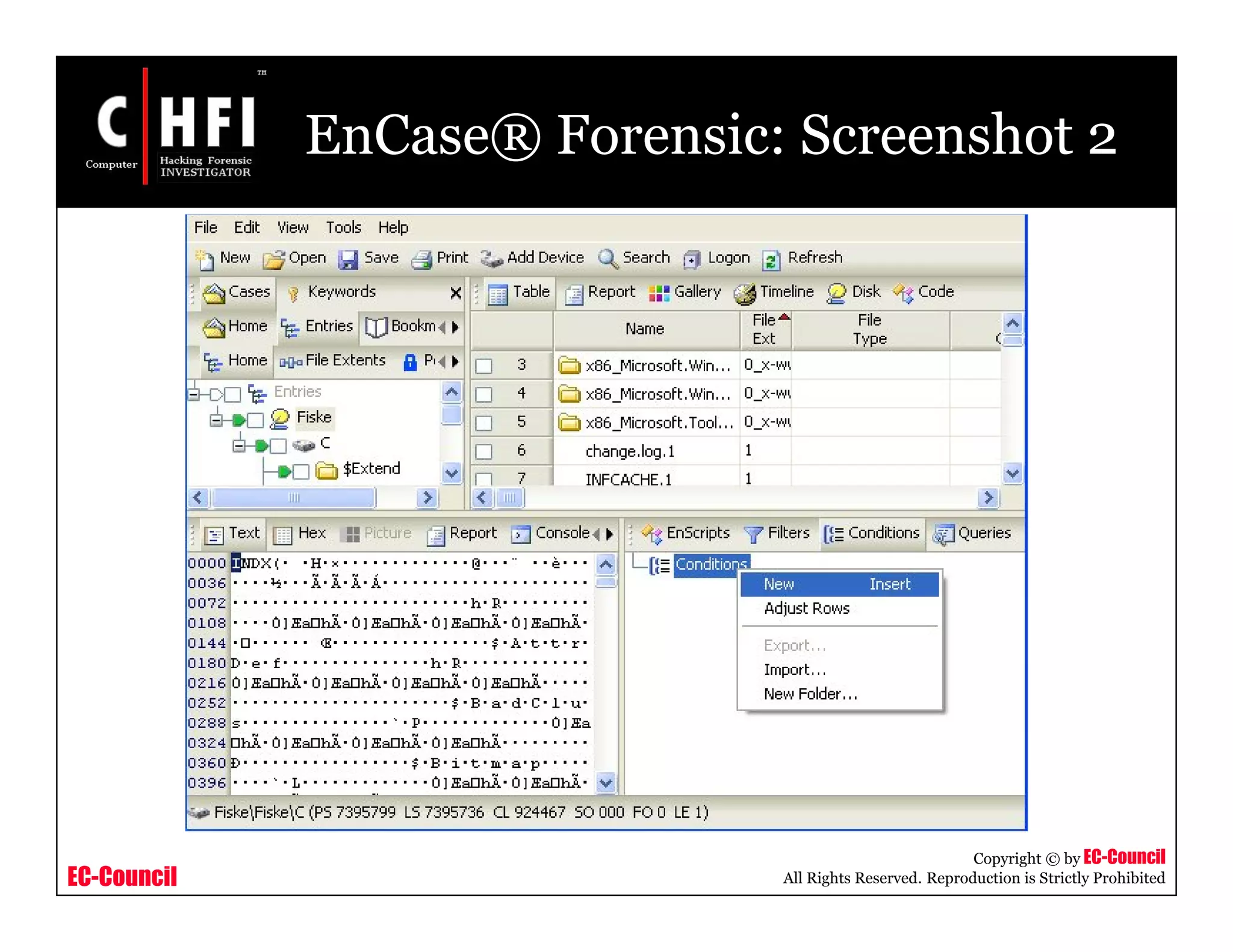 EC-Council
Copyright © by EC-Council
All Rights Reserved. Reproduction is Strictly Prohibited
EnCase® Forensic: Screenshot 2
 