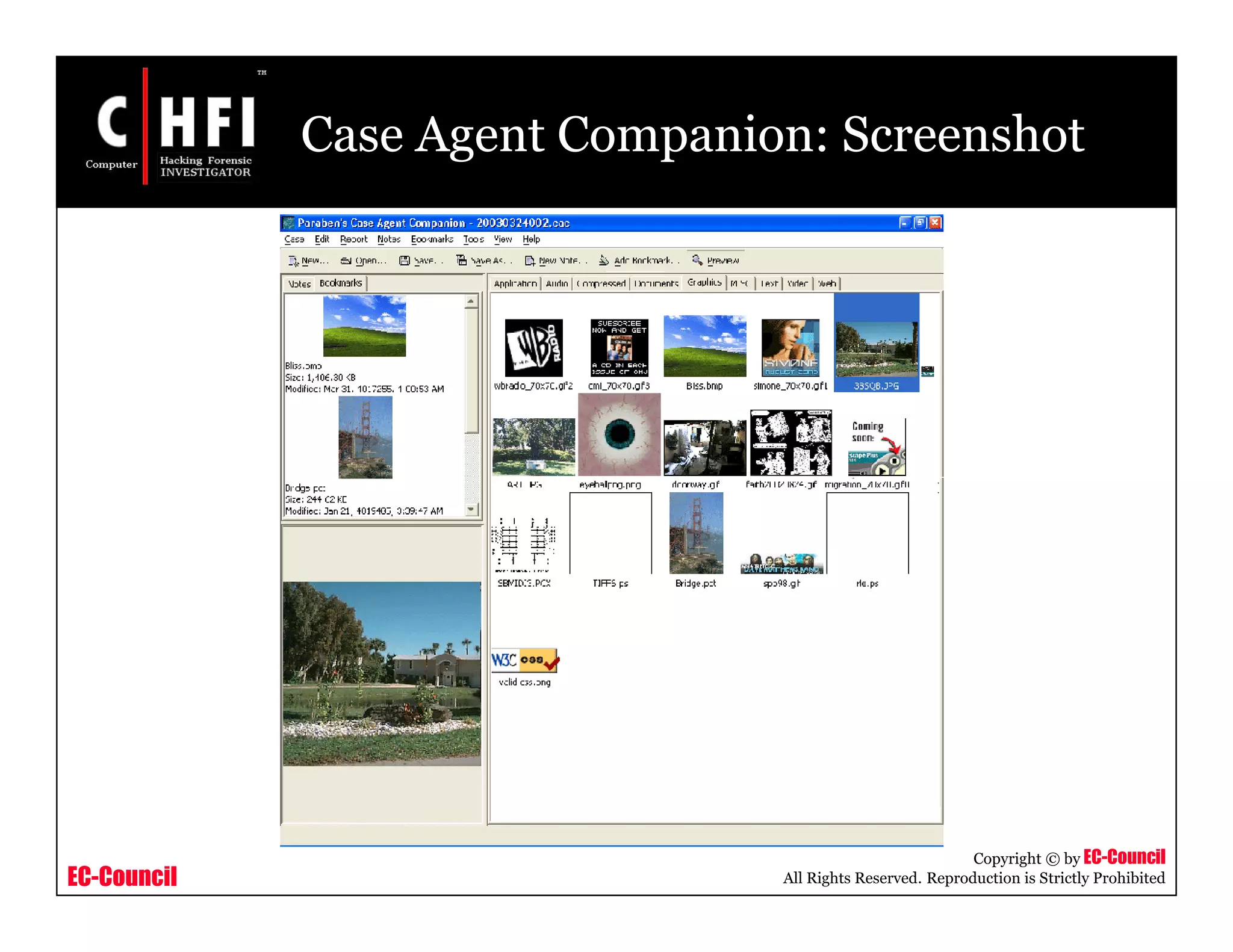 EC-Council
Copyright © by EC-Council
All Rights Reserved. Reproduction is Strictly Prohibited
Case Agent Companion: Screenshot
 