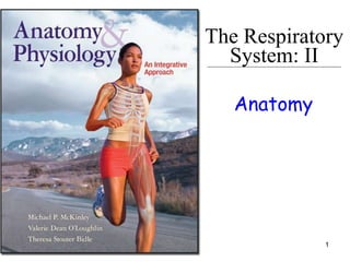 1
The Respiratory
System: II
Anatomy
 