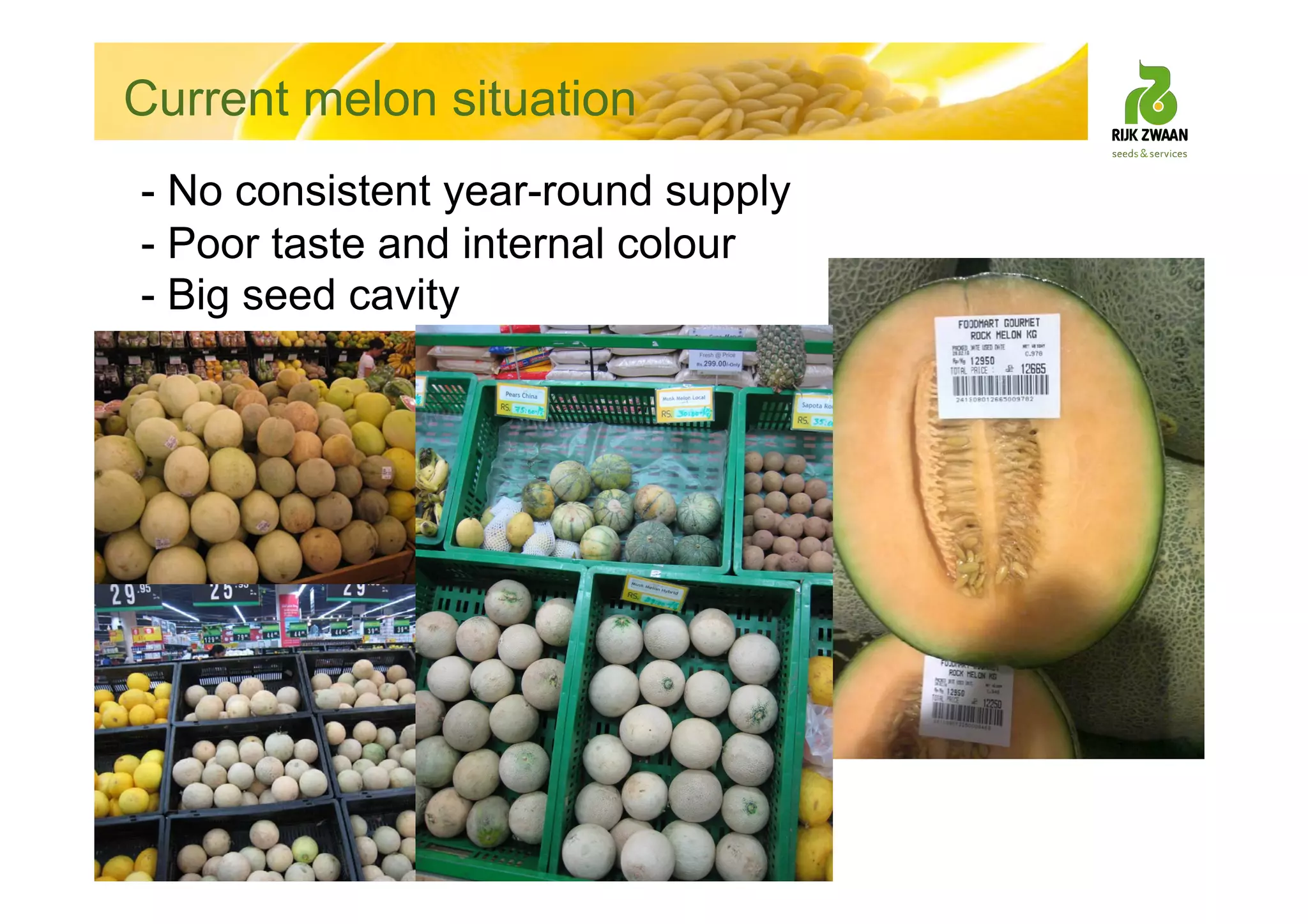 - No consistent year-round supply
- Poor taste and internal colour
- Big seed cavity
Current melon situation
 