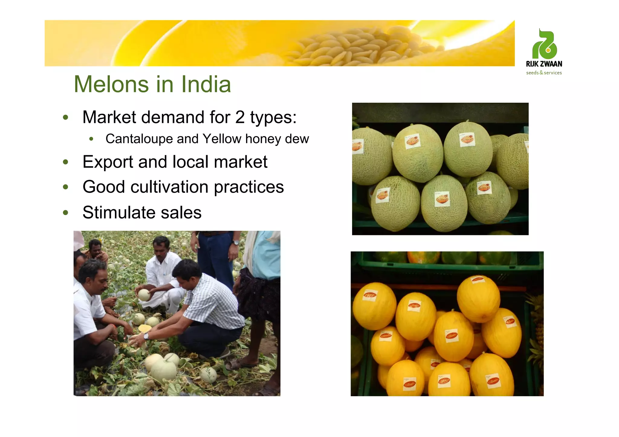 Melons in India
• Market demand for 2 types:
• Cantaloupe and Yellow honey dew
• Export and local market
• Good cultivation practices
• Stimulate sales
 