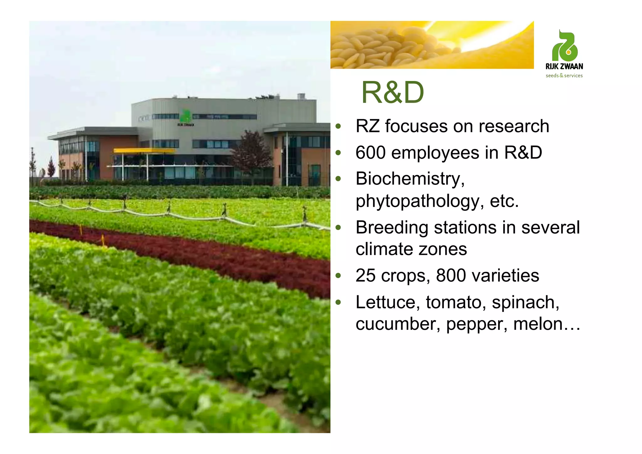 R&D
• RZ focuses on research
• 600 employees in R&D
• Biochemistry,
phytopathology, etc.
• Breeding stations in several
climate zones
• 25 crops, 800 varieties
• Lettuce, tomato, spinach,
cucumber, pepper, melon…
 