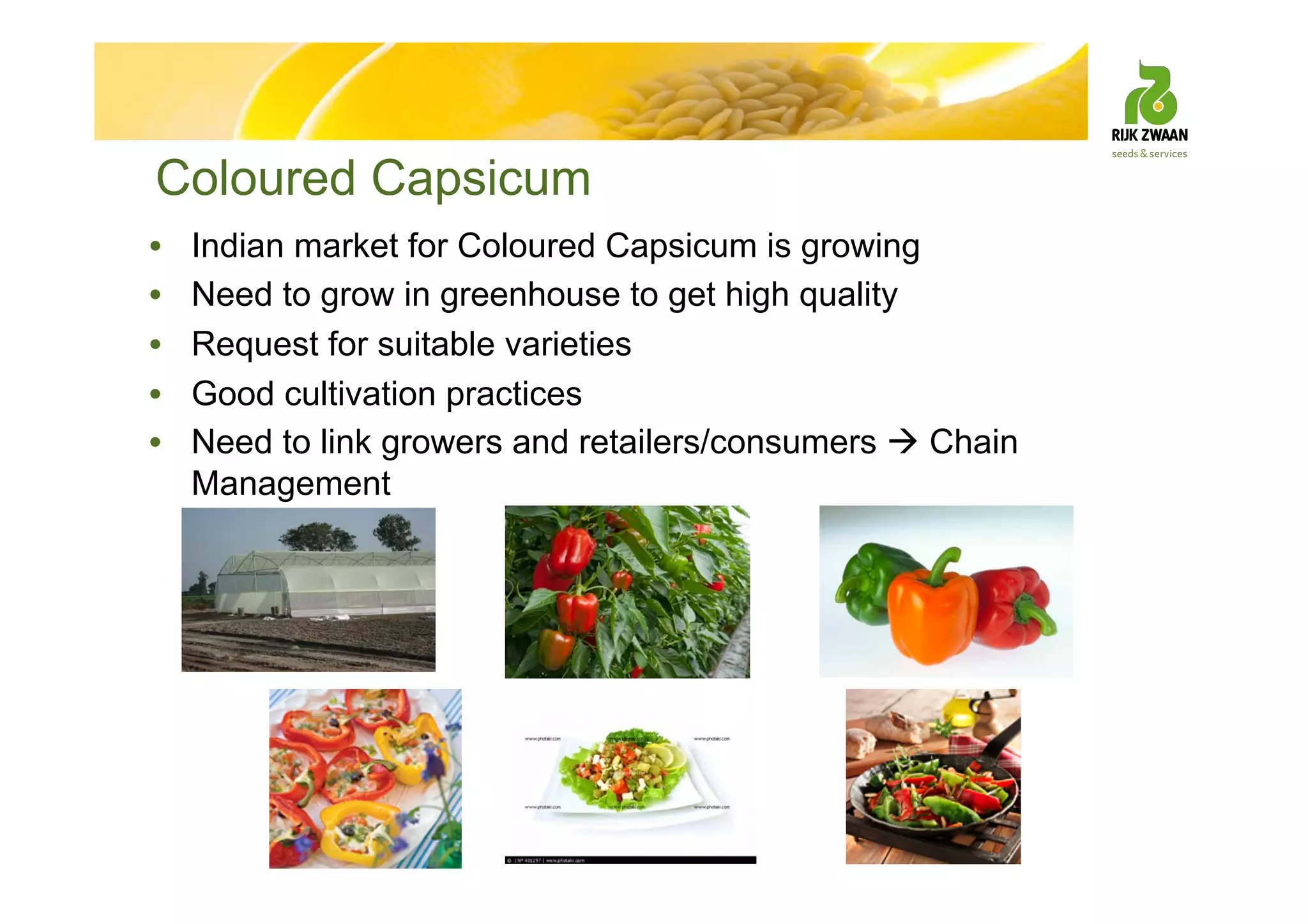 Coloured Capsicum
• Indian market for Coloured Capsicum is growing
• Need to grow in greenhouse to get high quality
• Request for suitable varieties
• Good cultivation practices
• Need to link growers and retailers/consumers  Chain
Management
 