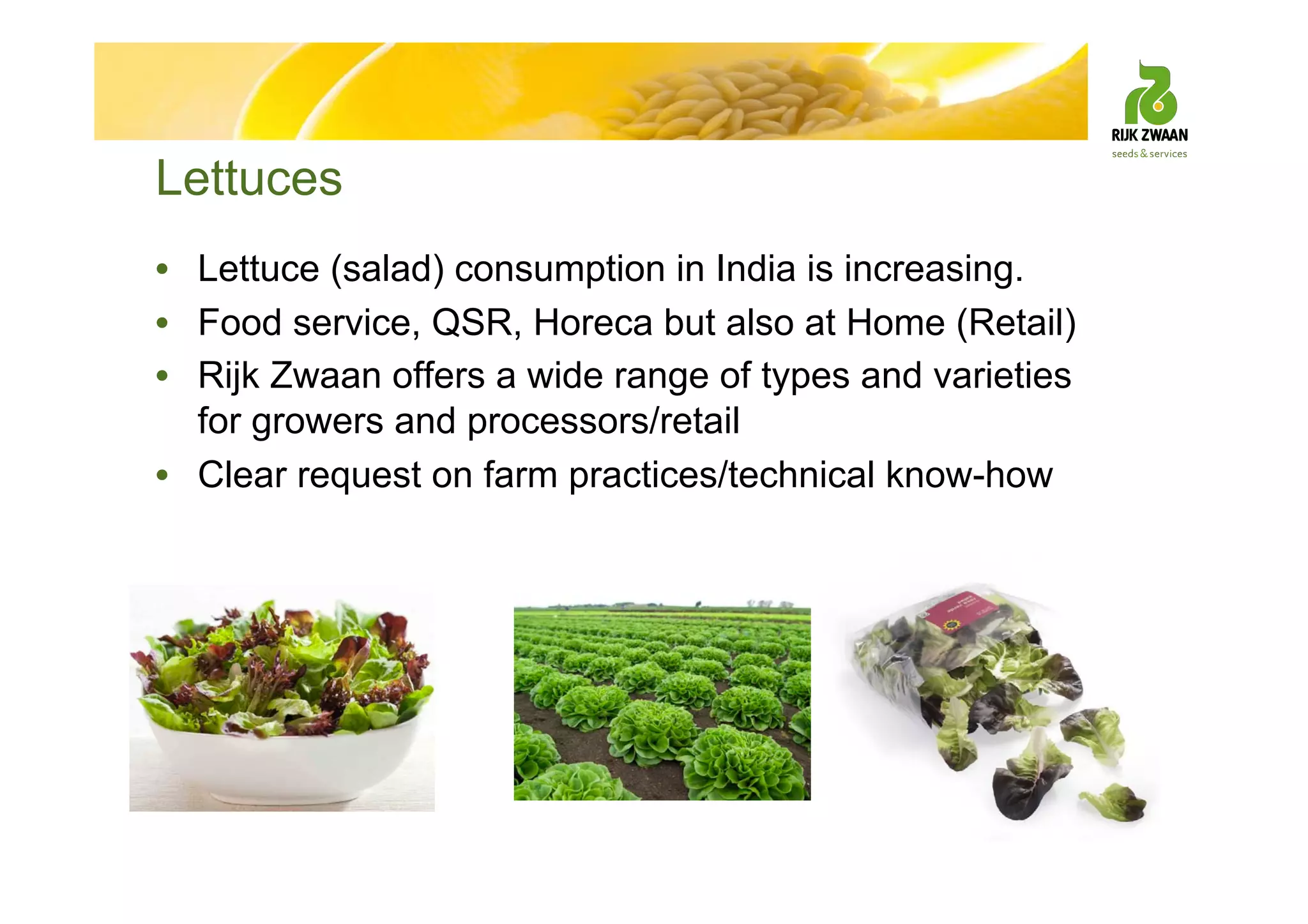 Lettuces
• Lettuce (salad) consumption in India is increasing.
• Food service, QSR, Horeca but also at Home (Retail)
• Rijk Zwaan offers a wide range of types and varieties
for growers and processors/retail
• Clear request on farm practices/technical know-how
 