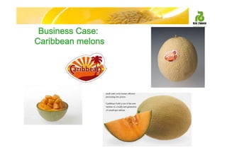 Business Case:
Caribbean melons
 