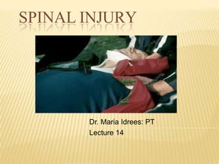 SPINAL INJURY
Dr. Maria Idrees: PT
Lecture 14
 