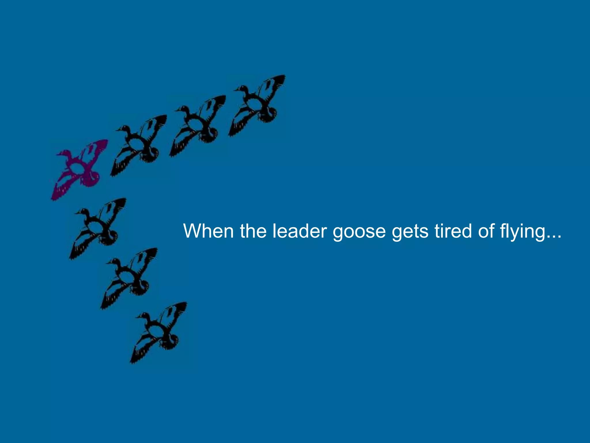 When the leader goose gets tired of flying...
 