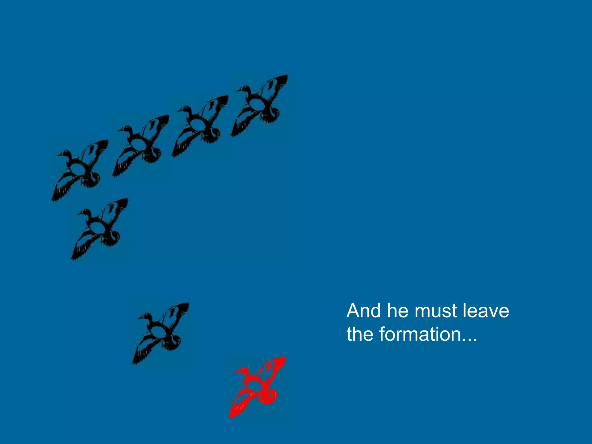 And he must leave
the formation...
 