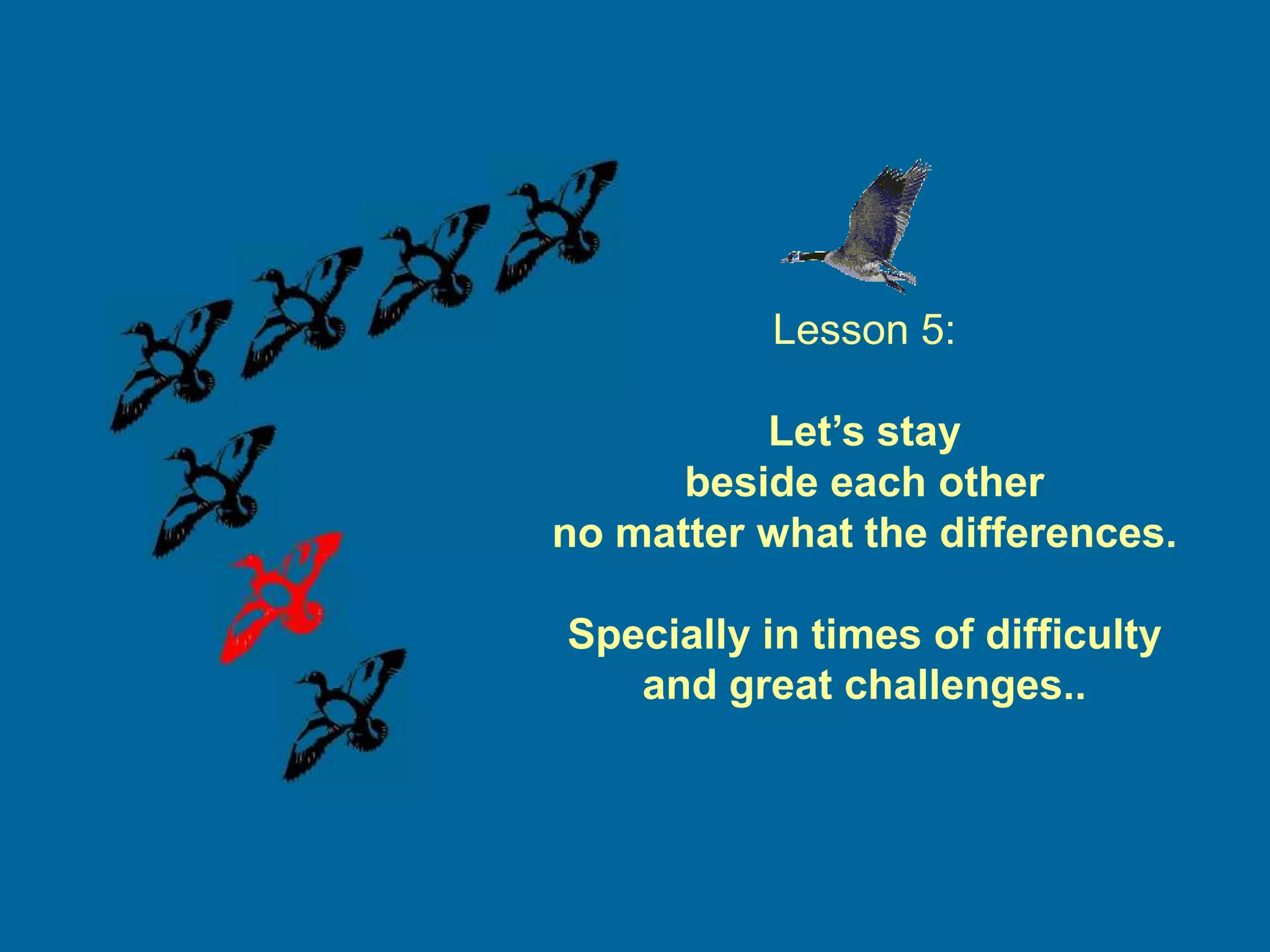 Lesson 5:

          Let’s stay
      beside each other
no matter what the differences.

Specially in times of difficulty
   and great challenges..
 