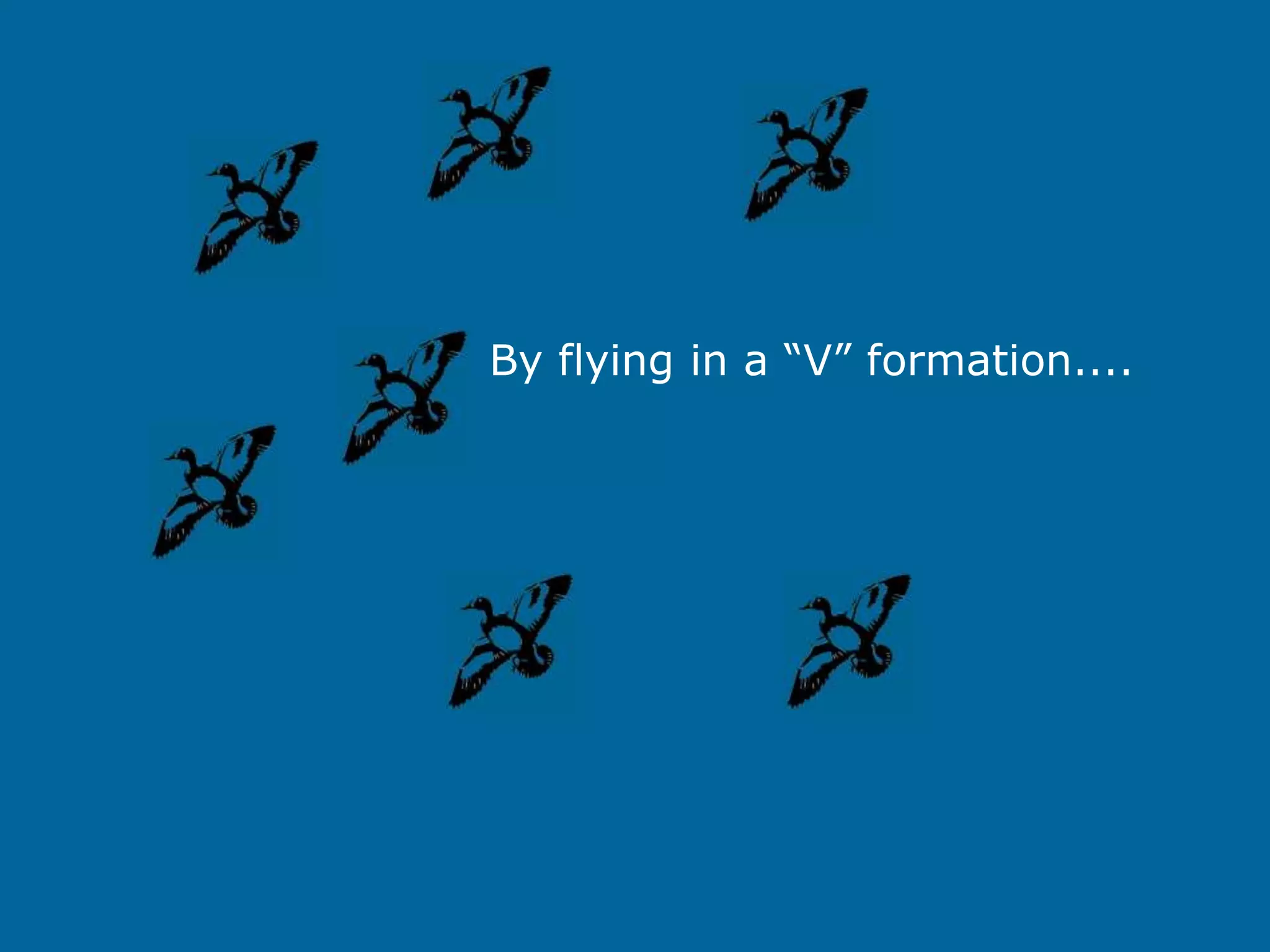 By flying in a “V” formation....
 