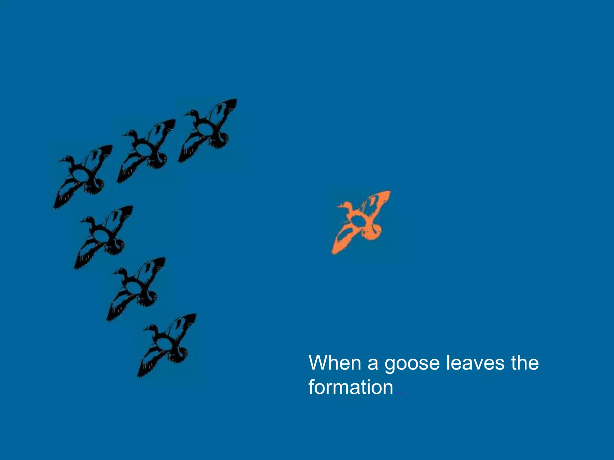 When a goose leaves the
formation..
 