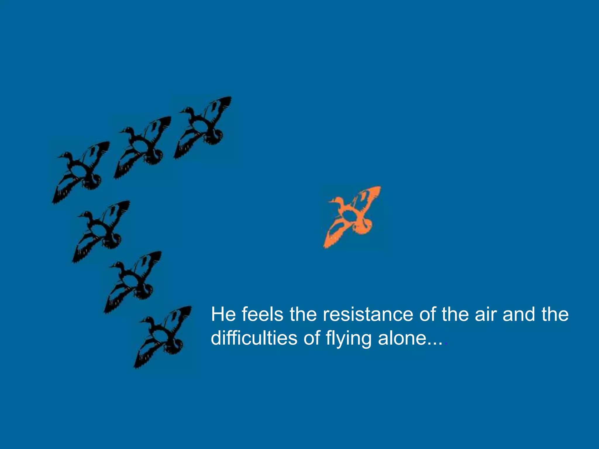 He feels the resistance of the air and the
difficulties of flying alone....
 