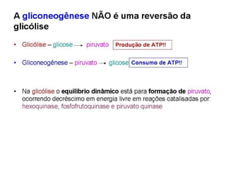 File1 4 gliconeogênese