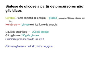 File1 4 gliconeogênese