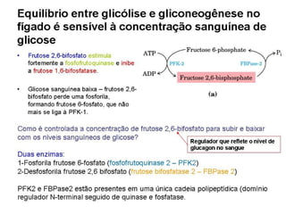File1 4 gliconeogênese