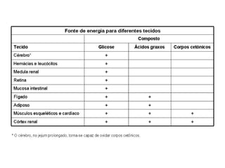 File1 4 gliconeogênese