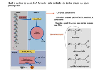 File1 4 gliconeogênese