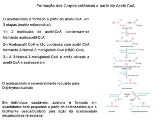 File1 4 gliconeogênese