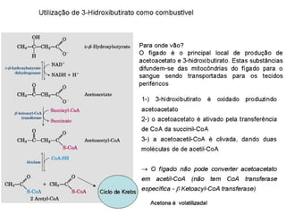File1 4 gliconeogênese