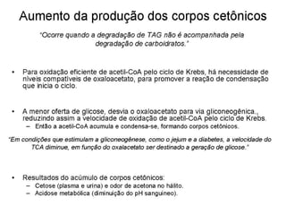 File1 4 gliconeogênese