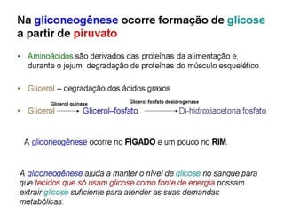 File1 4 gliconeogênese