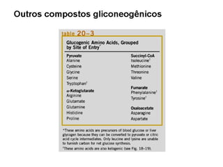 File1 4 gliconeogênese