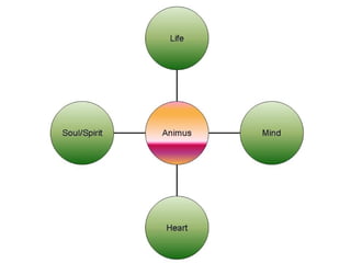 Root Word --> ANIMUS