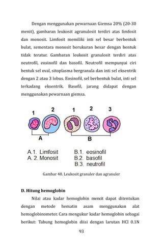 93
Dengan menggunakan pewarnaan Giemsa 20% (20-30
menit), gambaran leukosit agranulosit terdiri atas limfosit
dan monosit. Limfosit memiliki inti sel besar berbentuk
bulat, sementara monosit berukuran besar dengan bentuk
tidak teratur. Gambaran leukosit granulosit terdiri atas
neutrofil, eosinofil dan basofil. Neutrofil mempunyai ciri
bentuk sel oval, sitoplasma bergranula dan inti sel eksentrik
dengan 2 atau 3 lobus. Eosinofil, sel berbentuk bulat, inti sel
terkadang eksentrik. Basofil, jarang didapat dengan
menggunakan pewarnaan giemsa.
Gambar 40. Leukosit granuler dan agranuler
D. Hitung hemoglobin
Nilai atau kadar hemoglobin mencit dapat ditentukan
dengan metode hematin asam menggunakan alat
hemoglobinometer. Cara mengukur kadar hemoglobin sebagai
berikut: Tabung hemoglobin diisi dengan larutan HCl 0.1N
 