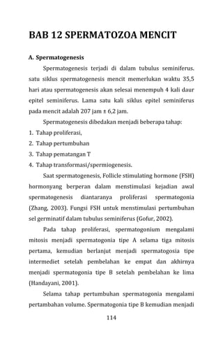 114
BAB 12 SPERMATOZOA MENCIT
A. Spermatogenesis
Spermatogenesis terjadi di dalam tubulus seminiferus.
satu siklus spermatogenesis mencit memerlukan waktu 35,5
hari atau spermatogenesis akan selesai menempuh 4 kali daur
epitel seminiferus. Lama satu kali siklus epitel seminiferus
pada mencit adalah 207 jam ± 6,2 jam.
Spermatogenesis dibedakan menjadi beberapa tahap:
1. Tahap proliferasi,
2. Tahap pertumbuhan
3. Tahap pematangan T
4. Tahap transformasi/spermiogenesis.
Saat spermatogenesis, Follicle stimulating hormone (FSH)
hormonyang berperan dalam menstimulasi kejadian awal
spermatogenesis diantaranya proliferasi spermatogonia
(Zhang, 2003). Fungsi FSH untuk menstimulasi pertumbuhan
sel germinatif dalam tubulus seminiferus (Gofur, 2002).
Pada tahap proliferasi, spermatogonium mengalami
mitosis menjadi spermatogonia tipe A selama tiga mitosis
pertama, kemudian berlanjut menjadi spermatogosia tipe
intermediet setelah pembelahan ke empat dan akhirnya
menjadi spermatogonia tipe B setelah pembelahan ke lima
(Handayani, 2001).
Selama tahap pertumbuhan spermatogonia mengalami
pertambahan volume. Spermatogonia tipe B kemudian menjadi
 