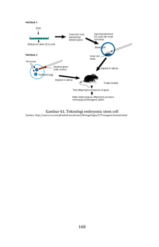 168
Gambar 61. Teknologi embryonic stem cell
Sumber: http://users.rcn.com/jkimball.ma.ultranet/BiologyPages/T/TransgenicAnimals.html
 