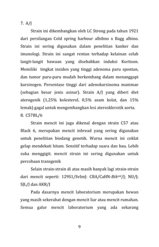 9
7. A/J
Strain ini dikembangkan oleh LC Strong pada tahun 1921
dari persilangan Cold spring harbour albibno x Bagg albino.
Strain ini sering digunakan dalam penelitian kanker dan
imunologi. Strain ini sangat rentan terhadap kelainan celah
langit-langit bawaan yang disebabkan induksi Kortison.
Memiliki tingkat insiden yang tinggi adenoma paru spontan,
dan tumor paru-paru mudah berkembang dalam menanggapi
karsinogen. Persentase tinggi dari adenokarsinoma mammae
(sebagian besar jenis asinar). Strain A/J yang diberi diet
aterogenik (1,25% kolesterol, 0,5% asam kolat, dan 15%
lemak) gagal untuk mengembangkan lesi aterosklerotik aorta.
8. C57BL/6
Strain mencit ini juga dikenal dengan strain C57 atau
Black 6, merupakan mencit inbread yang sering digunakan
untuk penelitian biodang genetik. Warna mencit ini coklat
gelap mendekati hitam. Sensitif terhadap suara dan bau. Lebih
suka menggigit. mencit strain ini sering digunakan untuk
percobaan transgenik
Selain strain-strain di atas masih banyak lagi strain-strain
dari mencit seperti: 129S1/SvImJ: CBA/CaHN-Btkxid/J; NU/J;
SJL/J dan AKR/J
Pada dasarnya mencit laboratorium merupakan hewan
yang masih sekerabat dengan mencit liar atau mencit rumahan.
Semua galur mencit laboratorium yang ada sekarang
 