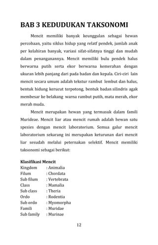 12
BAB 3 KEDUDUKAN TAKSONOMI
Mencit memiliki banyak keunggulan sebagai hewan
percobaan, yaitu siklus hidup yang relatf pendek, jumlah anak
per kelahiran banyak, variasi sifat-sifatnya tinggi dan mudah
dalam penanganannya. Mencit memiliki bulu pendek halus
berwarna putih serta ekor berwarna kemerahan dengan
ukuran lebih panjang dari pada badan dan kepala. Ciri-ciri lain
mencit secara umum adalah tekstur rambut lembut dan halus,
bentuk hidung kerucut terpotong, bentuk badan silindris agak
membesar ke belakang warna rambut putih, mata merah, ekor
merah muda.
Mencit merupakan hewan yang termasuk dalam famili
Murideae. Mencit liar atau mencit rumah adalah hewan satu
spesies dengan mencit laboratorium. Semua galur mencit
laboratorium sekarang ini merupakan keturunan dari mencit
liar sesudah melalui peternakan selektif. Mencit memiliki
taksonomi sebagai berikut:
Klasifikasi Mencit
Kingdom : Animalia
Filum : Chordata
Sub filum : Vertebrata
Class : Mamalia
Sub class : Theria
Ordo : Rodentia
Sub ordo : Myomorpha
Famili : Muridae
Sub family : Murinae
 