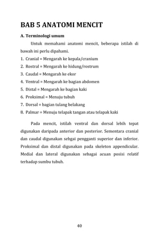 40
BAB 5 ANATOMI MENCIT
A. Terminologi umum
Untuk memahami anatomi mencit, beberapa istilah di
bawah ini perlu dipahami.
1. Cranial = Mengarah ke kepala/cranium
2. Rostral = Mengarah ke hidung/rostrum
3. Caudal = Mengarah ke ekor
4. Ventral = Mengarah ke bagian abdomen
5. Distal = Mengarah ke bagian kaki
6. Proksimal = Menuju tubuh
7. Dorsal = bagian tulang belakang
8. Palmar = Menuju telapak tangan atau telapak kaki
Pada mencit, istilah ventral dan dorsal lebih tepat
digunakan daripada anterior dan posterior. Sementara cranial
dan caudal digunakan sebgai pengganti superior dan inferior.
Proksimal dan distal digunakan pada skeleton appendicular.
Medial dan lateral digunakan sebagai acuan posisi relatif
terhadap sumbu tubuh.
 