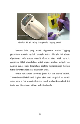 69
Gambar 31. Microchip transponder tagging mencit
Metode lain yang dapat digunakan untuk tagging
permanen mencit adalah metode tatoo. Metode ini dapat
digunakan baik untuk mencit dewasa atau anak mencit.
Anestesia tidak diperlukan untuk menggunakan metode ini,
namun dapat pula digunakan apabila menginginkan hewan
tidka berontak pada saat dilakukan tatoo.
Untuk melakukan tatoo ini, perlu alat dan cairan khusus.
Tatoo dapat dilakukan di bagian ekor atau telapak kaki untuk
anak mencit dan mencit dewasa. untuk melakukan teknik ini
tentu saja diperlukan latihan terlebih dahulu.
 