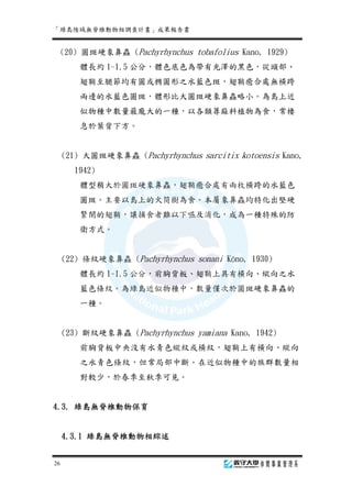台灣綠島陸域無脊椎動物調查報告
