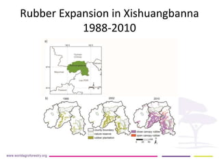 Implication of land use change in the Mekong region for upland forests and their services