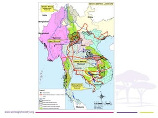 Implication of land use change in the Mekong region for upland forests and their services