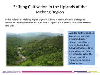 Implication of land use change in the Mekong region for upland forests and their services