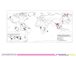 Implication of land use change in the Mekong region for upland forests and their services