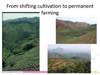 Implication of land use change in the Mekong region for upland forests and their services