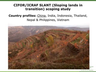 CIFOR/ICRAF sloping lands in transition (SLANT) project