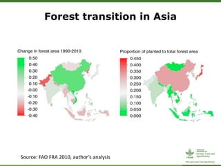 CIFOR/ICRAF sloping lands in transition (SLANT) project